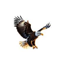 Eagle