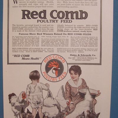 Vintage Ad: 1916  Red Comb Poultry Feed