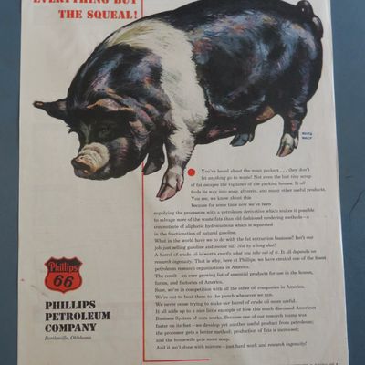 1960's Phillips 66 Petroleum Company with Big Hog/Pig