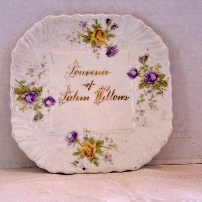 Salem Willows Porcelain Plate, Karlsbad Austria