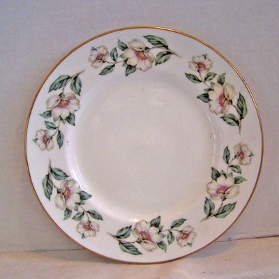 Royal Victoria Collector Plate, White Daisy Flowers, En