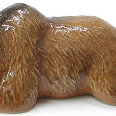 R040r Lying Grizzly Bear