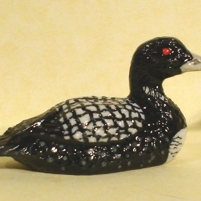 K9741b Swimming Loon