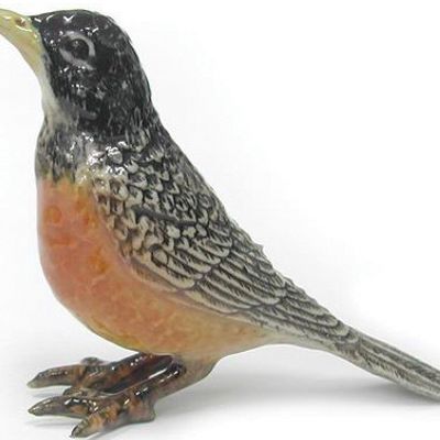 R193 American Robin