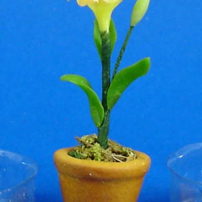 Dollhouse Miniature Flower in Clay Pot