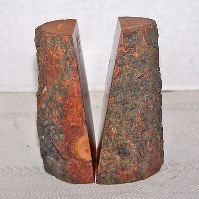 Tree Bark Wood Salt & Pepper Shakers, Texas Souvenirs,