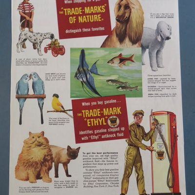 1940's Ethyl Gasoline with Dogs, Cats, Birds & Fish