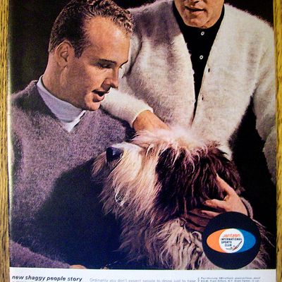 1963 Jantzen with Frank Gifford and Paul Hornung