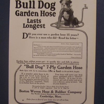 1916  Bull  Dog  Garden  Hose