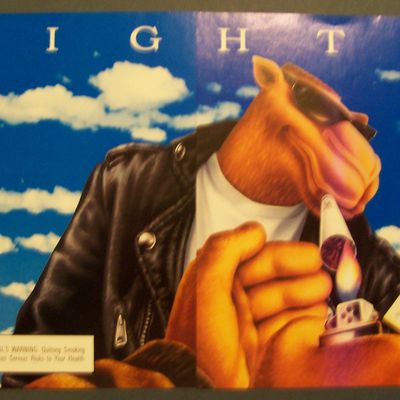 1995  Camel  Cigarettes  with  Joe  Camel