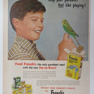 1956 French's Parakeet Seed w/ Boy & Bird on His Finger