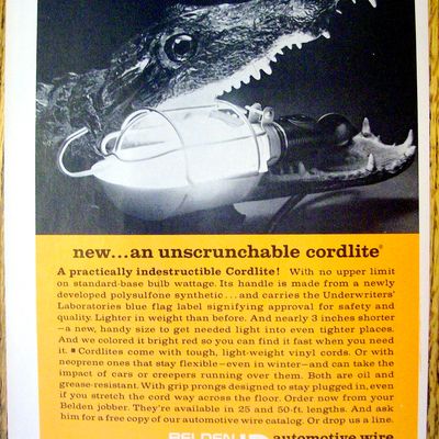1969 Beldon Cordlite with Alligator with Light in Mouth