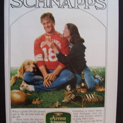 1981  Arrow  Schnapps