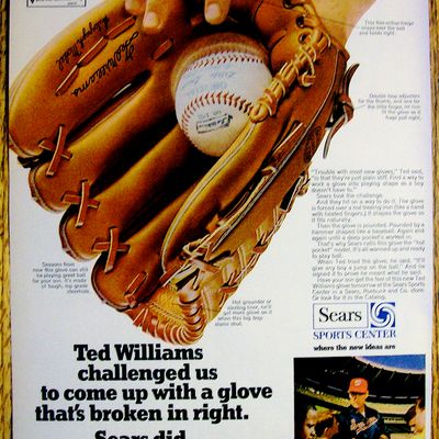 1970 Sears Baseball Glove with Baseball's Ted Williams
