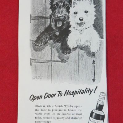 1958 Black & White Scotch Whiskey with the Terriers