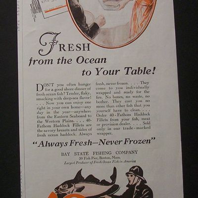 1928  40  Fathom  Fish