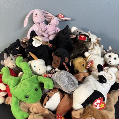 Beanie Baby Collection