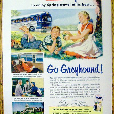 1953 Greyhound