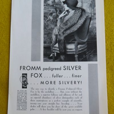 1930 Fromm Pedigreed Silver Fox with Lovely Woman