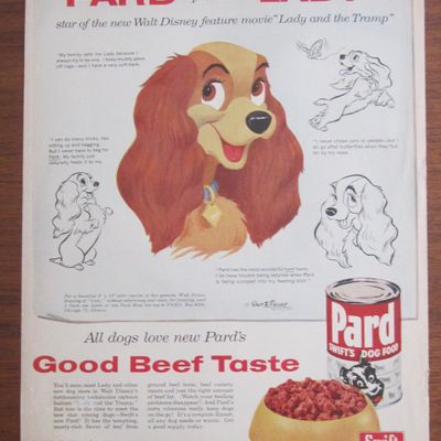 1955 Pard Dog Food with Lady and the Tramp