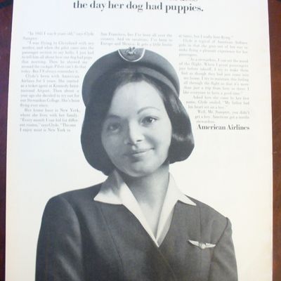1965 American Airlines With Stewardess