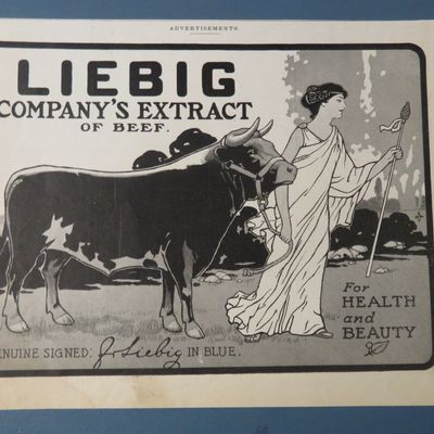 1900 Liebig Company's Extract Of Beef w/ Woman & Cow