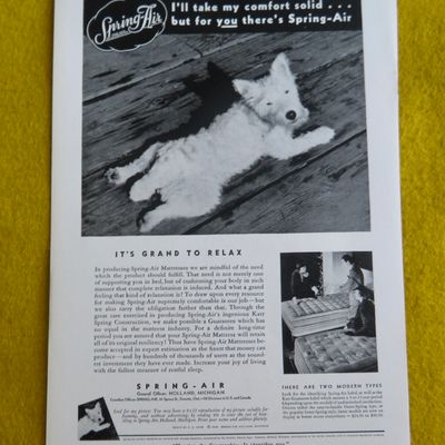 1938 Spring Air Mattress with Dog Laying On The Floor