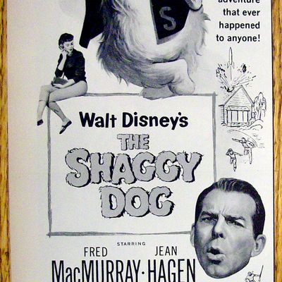 1959 Walt Disney's The Shaggy Dog with Fred MacMurray