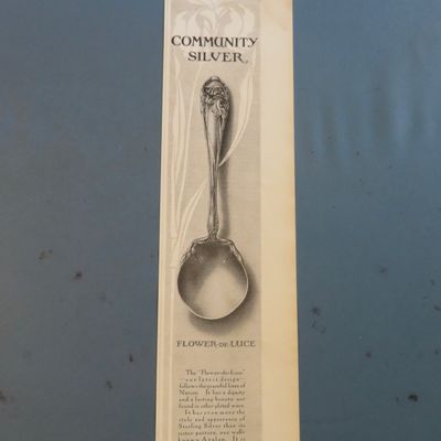 1905 Community Silver with A Flower De Luce Spoon