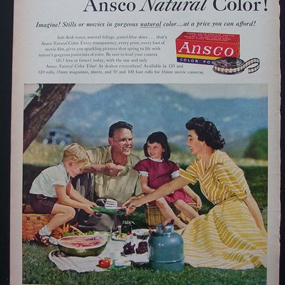 1951 Ansco Film with Family Having A Picnic