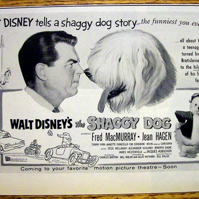 1959 Walt Disney's The Shaggy Dog with Fred MacMurray