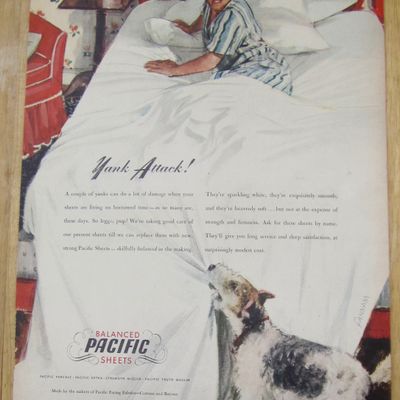 1945 Pacific Sheets w/Dog Pulling Sheets off Boy in Bed