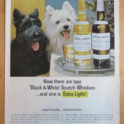 1965 Black and White Whiskey w/ Black & White Scotties