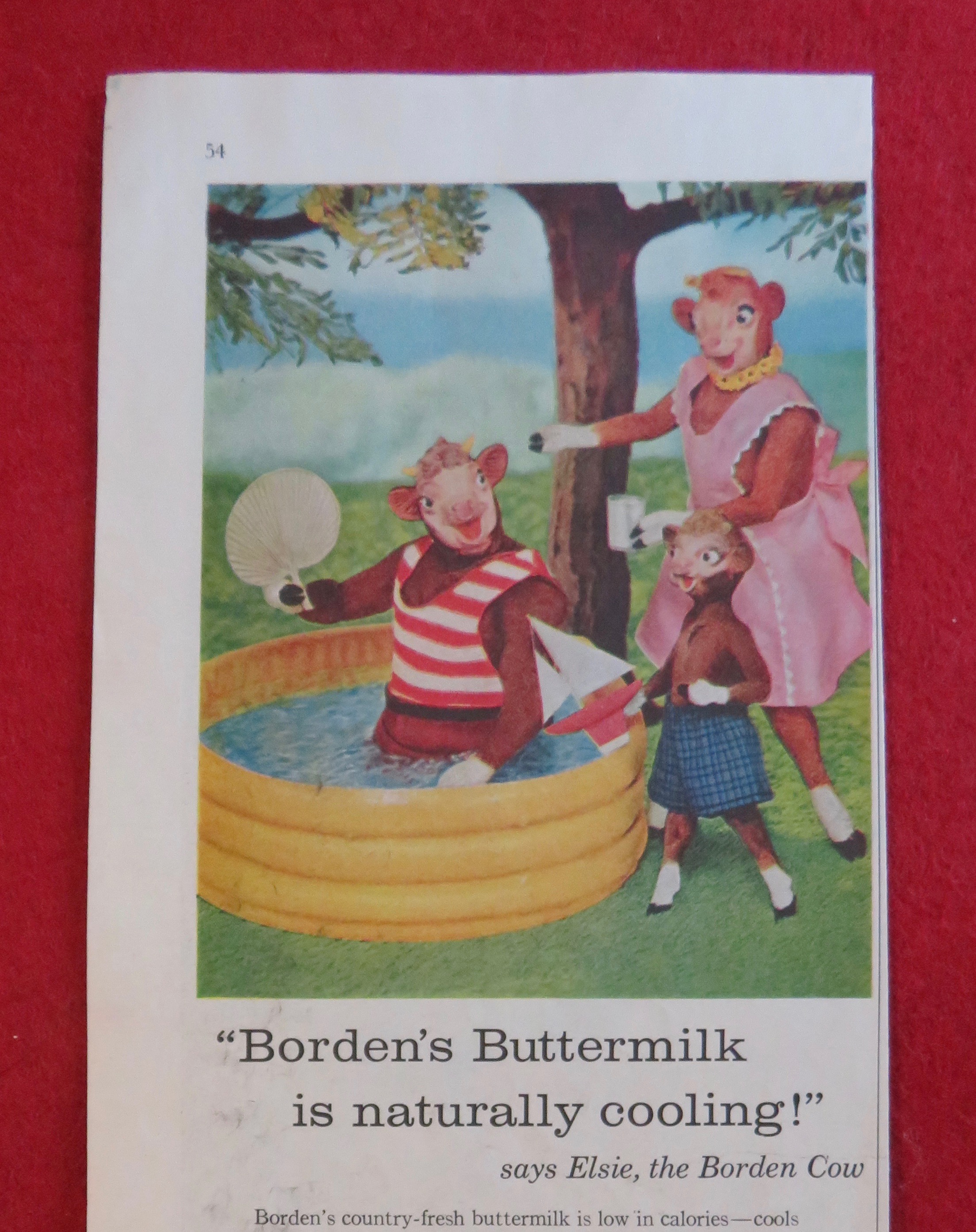 1958 Borden Buttermilk with Elsie & Family By The Pool