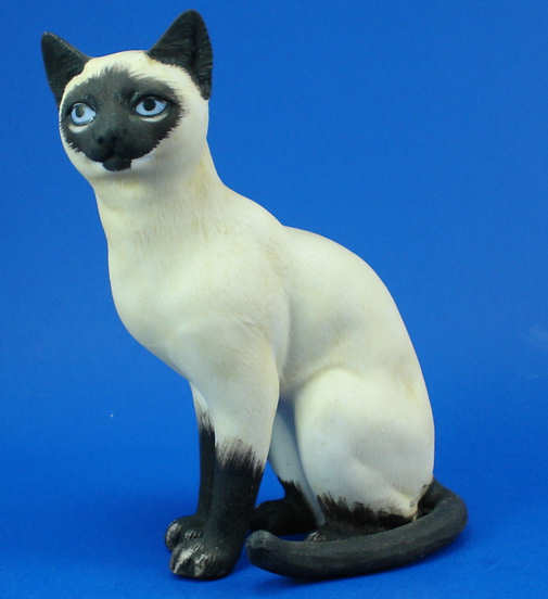 Sitting Siamese Cat