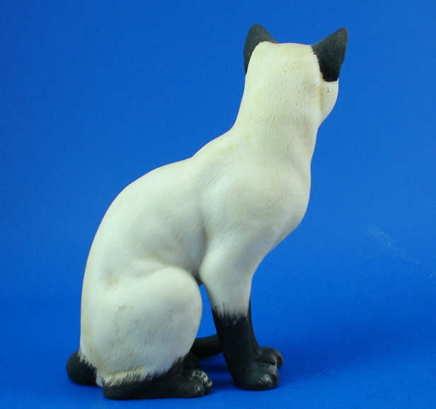 Sitting Siamese Cat