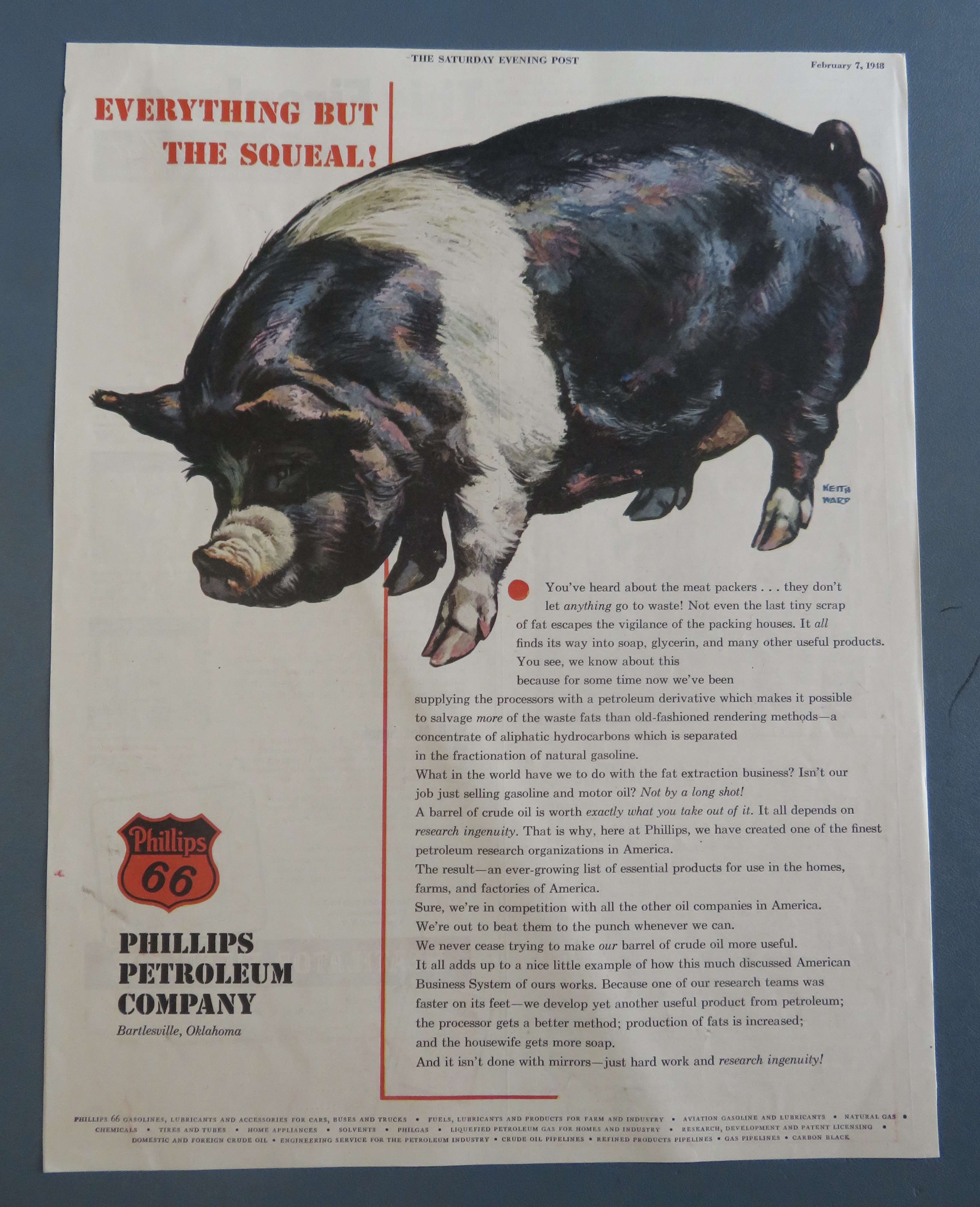 1960's Phillips 66 Petroleum Company with Big Hog/Pig