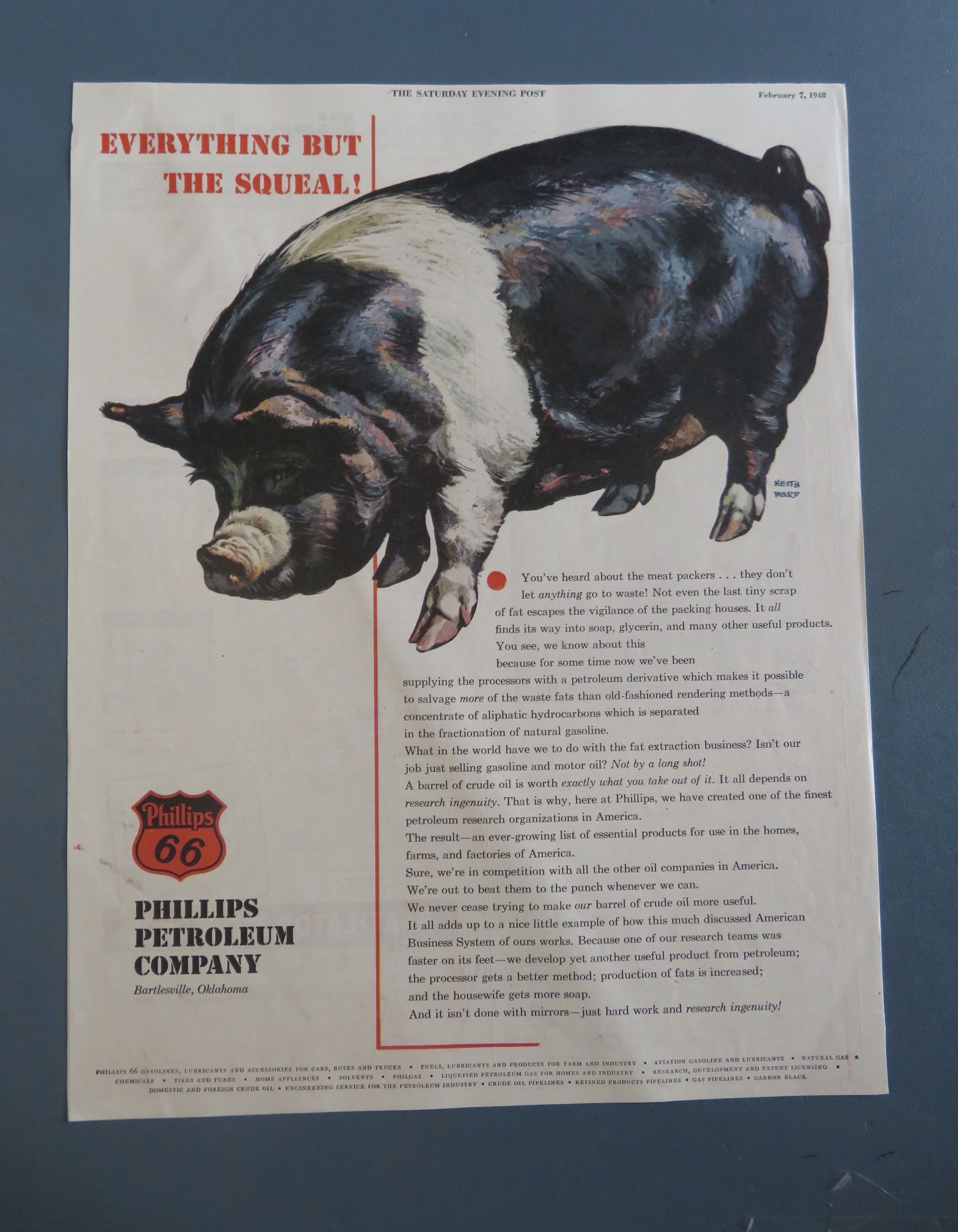 1960's Phillips 66 Petroleum Company with Big Hog/Pig
