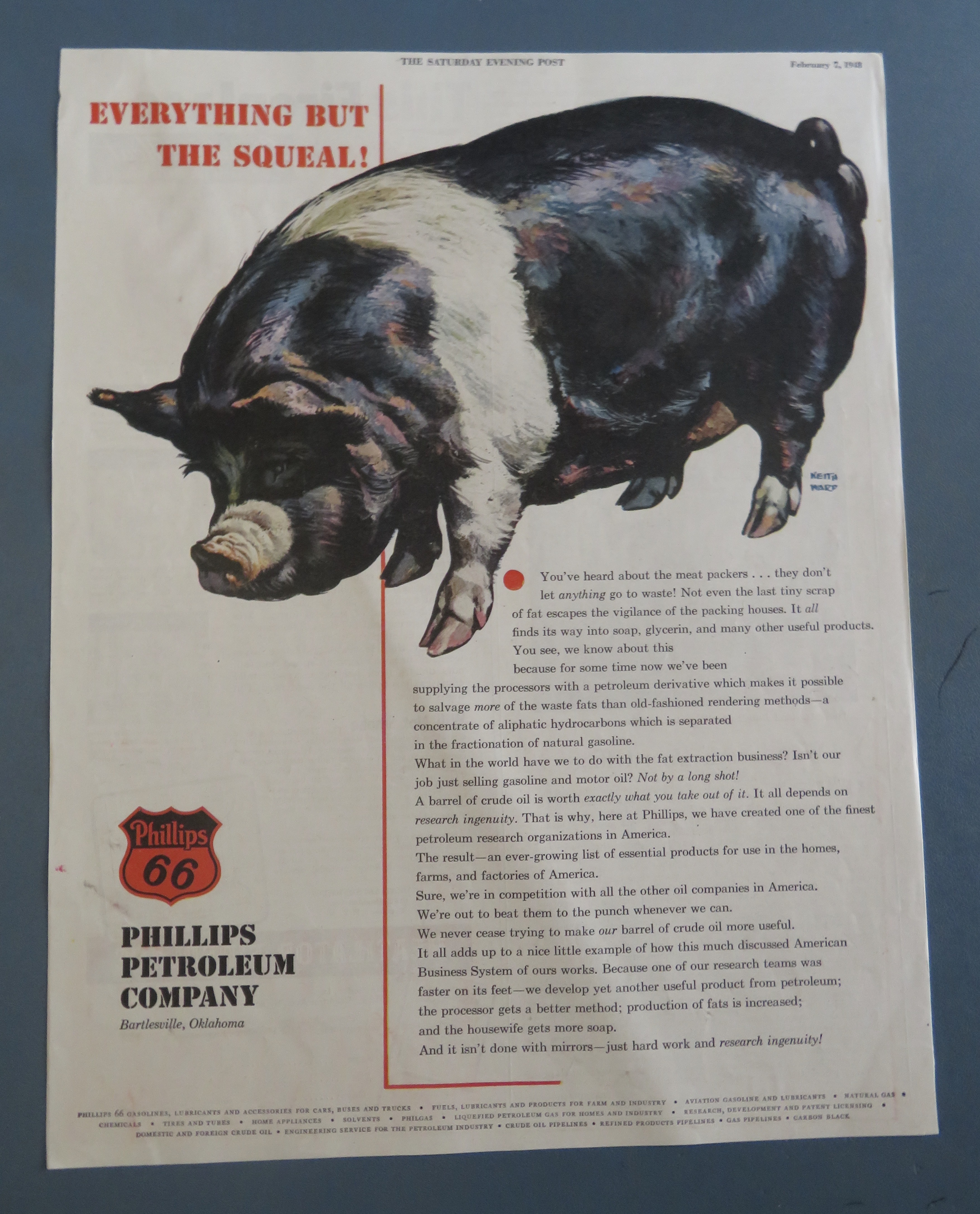 1960's Phillips 66 Petroleum Company with Big Hog/Pig