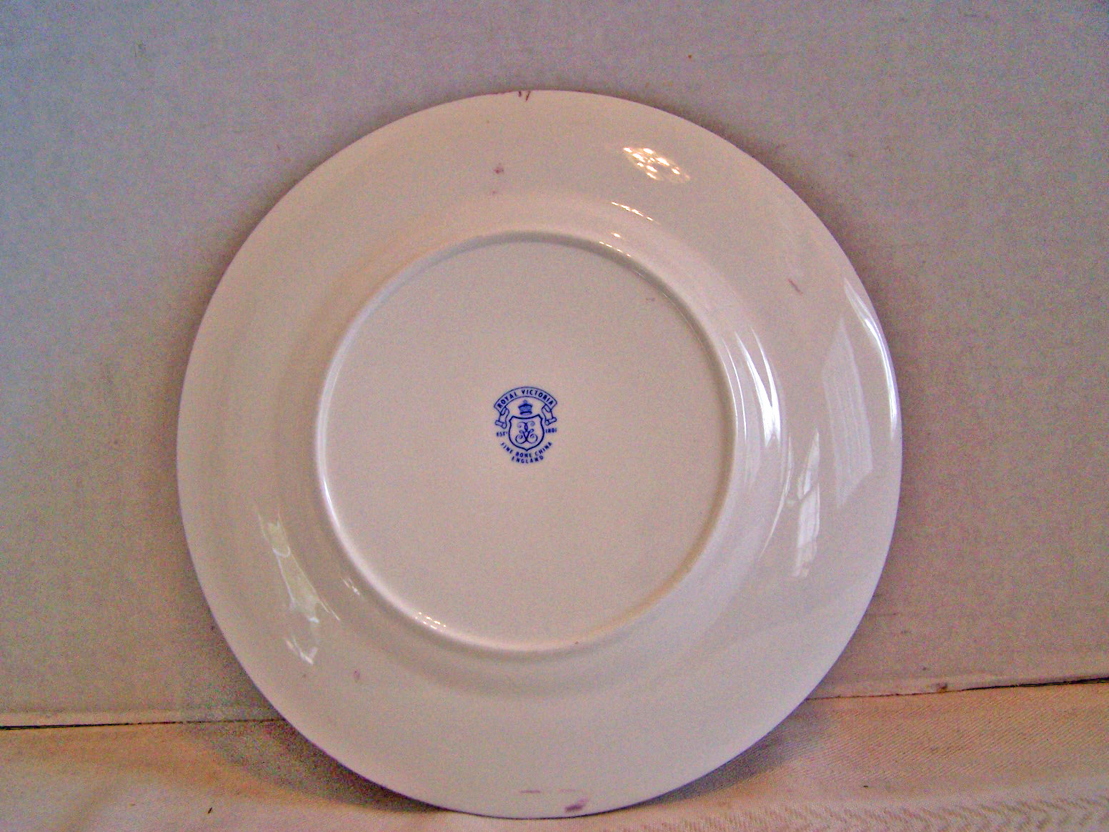 Royal Victoria Collector Plate, White Daisy Flowers, En