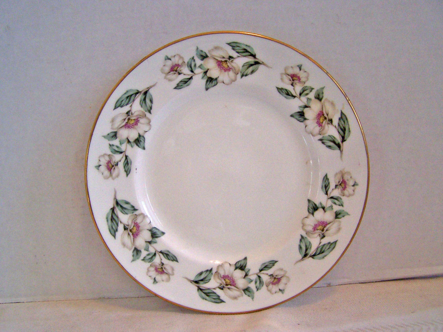 Royal Victoria Collector Plate, White Daisy Flowers, En