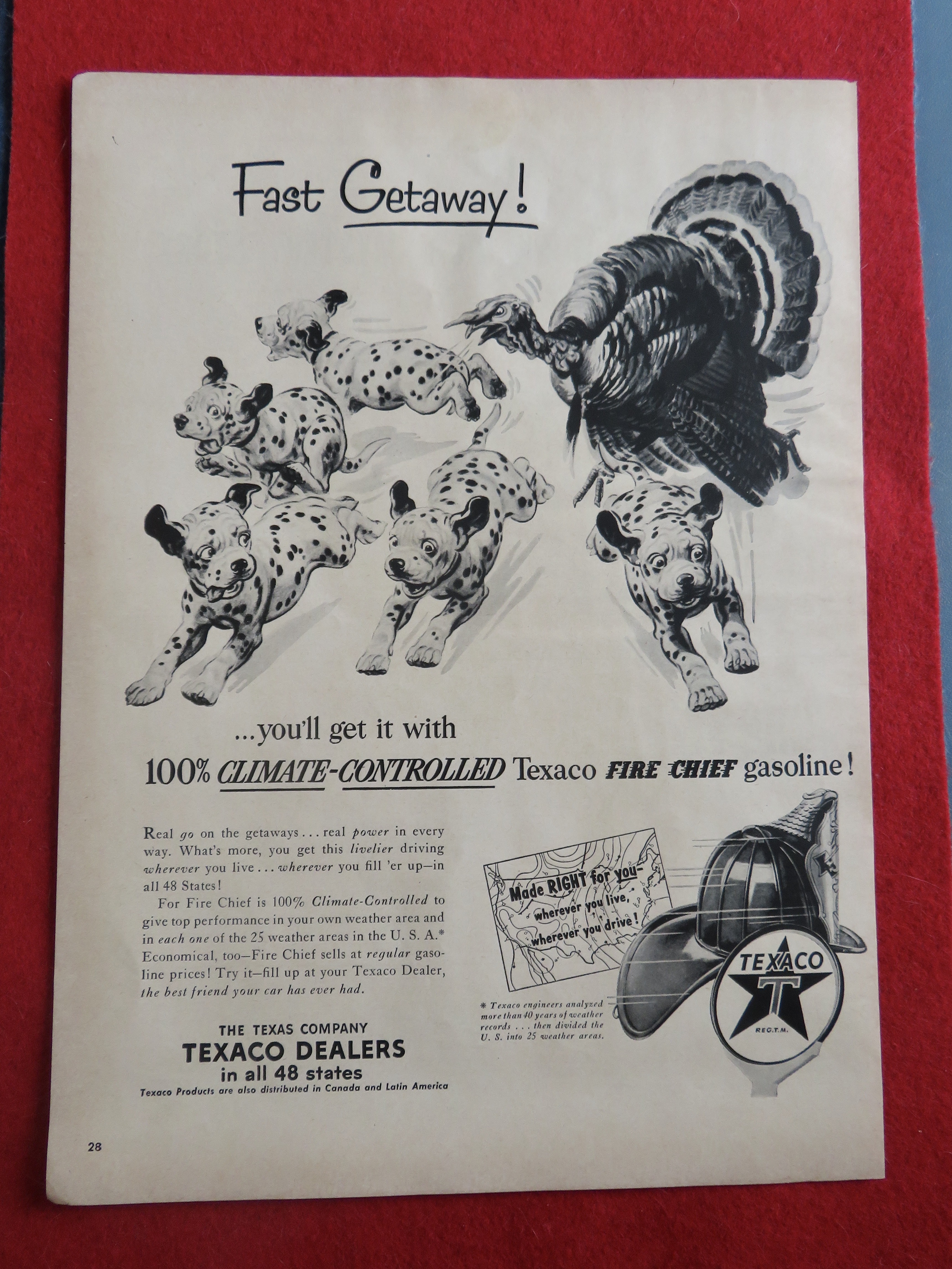 1953 Texaco Gasoline with Turkey Chasing Dalmatians