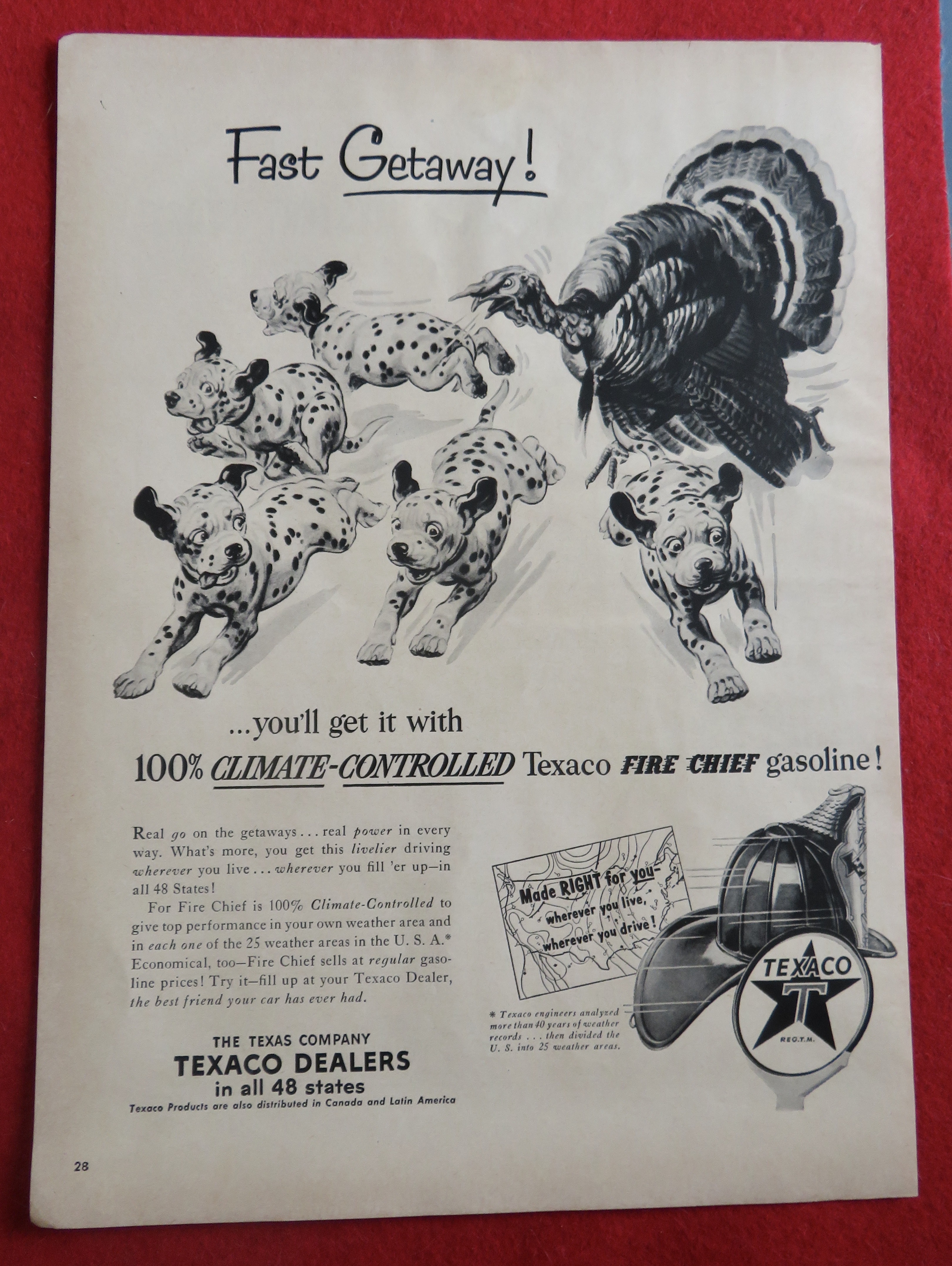 1953 Texaco Gasoline with Turkey Chasing Dalmatians