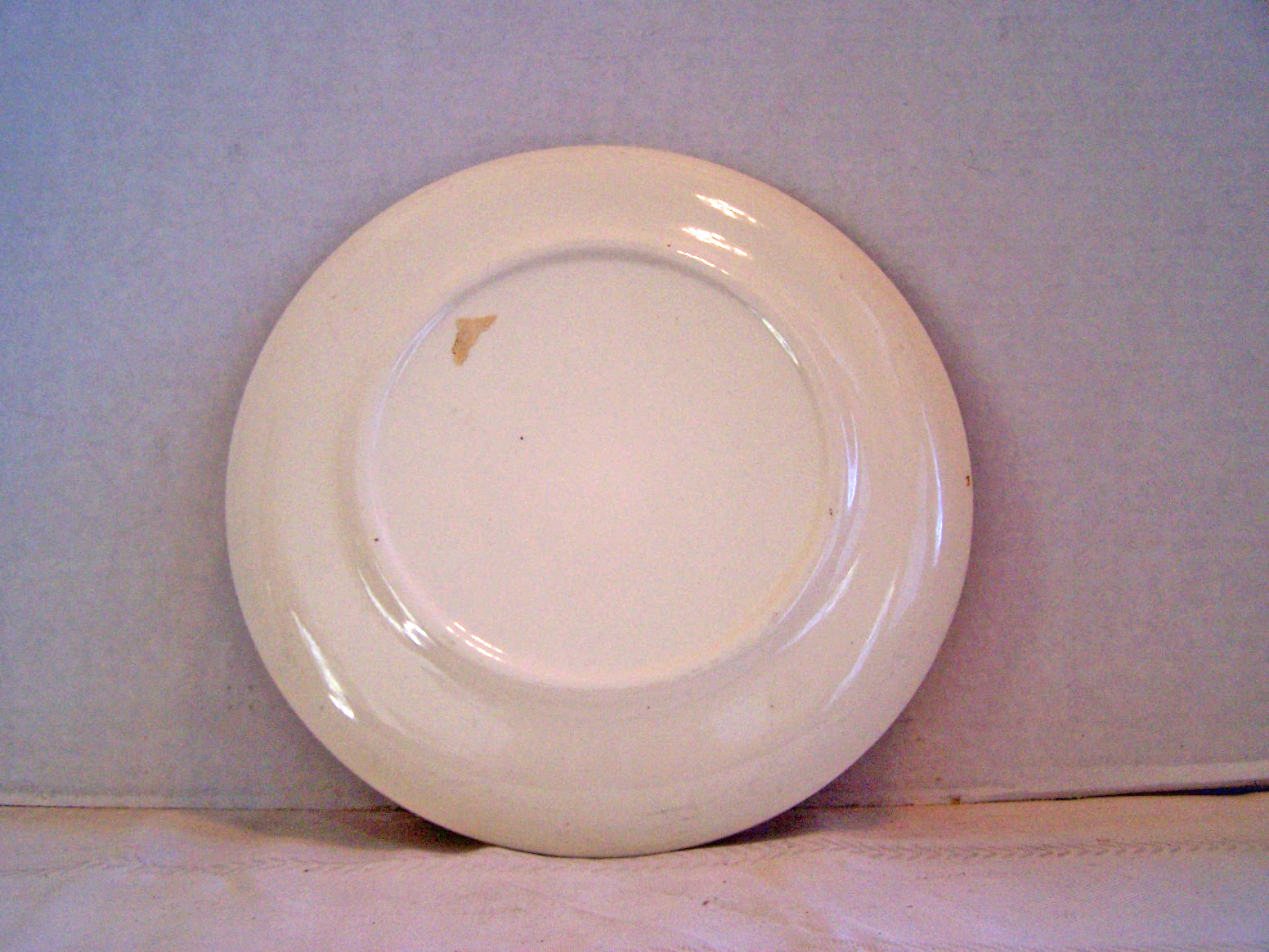 Nebraska Souvenir Plate