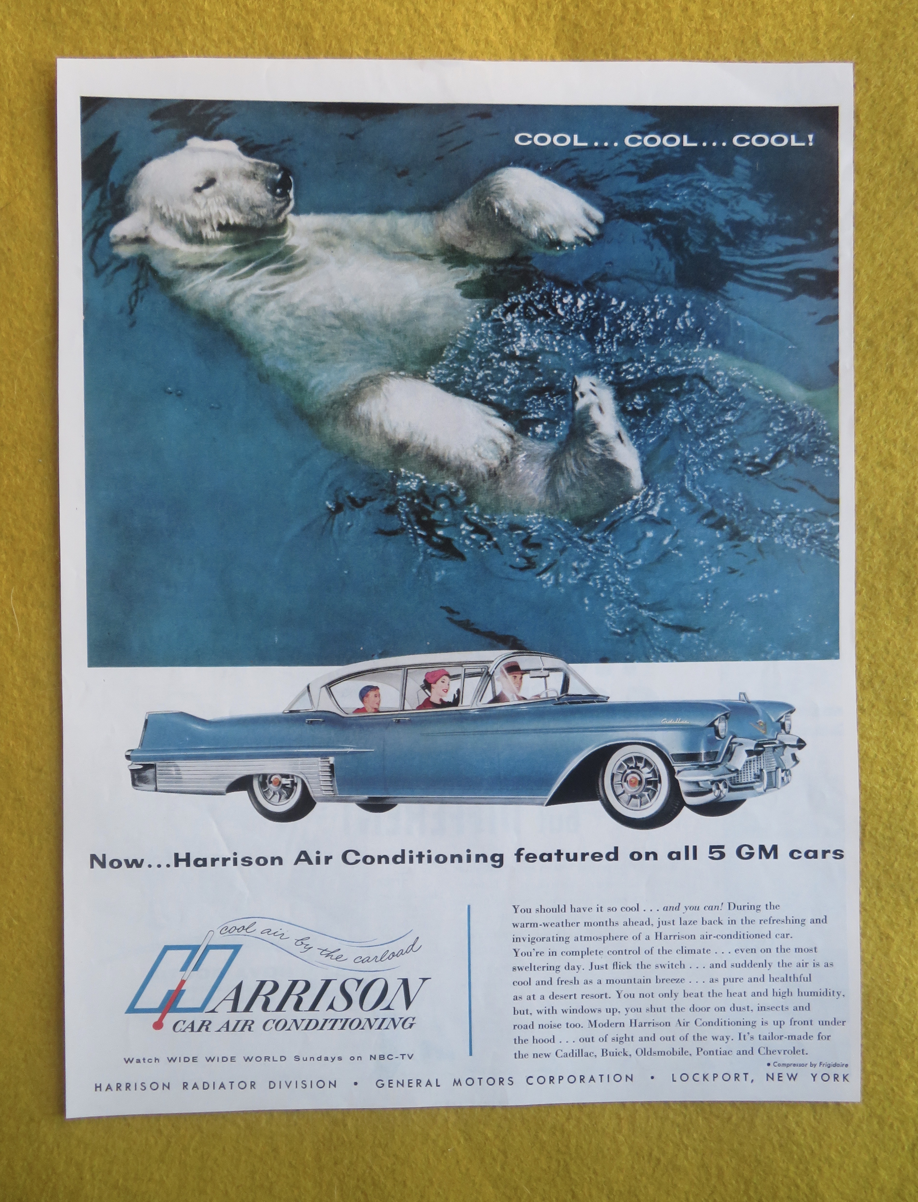 1957 Harrison Car Air Conditioning with Polar Bear