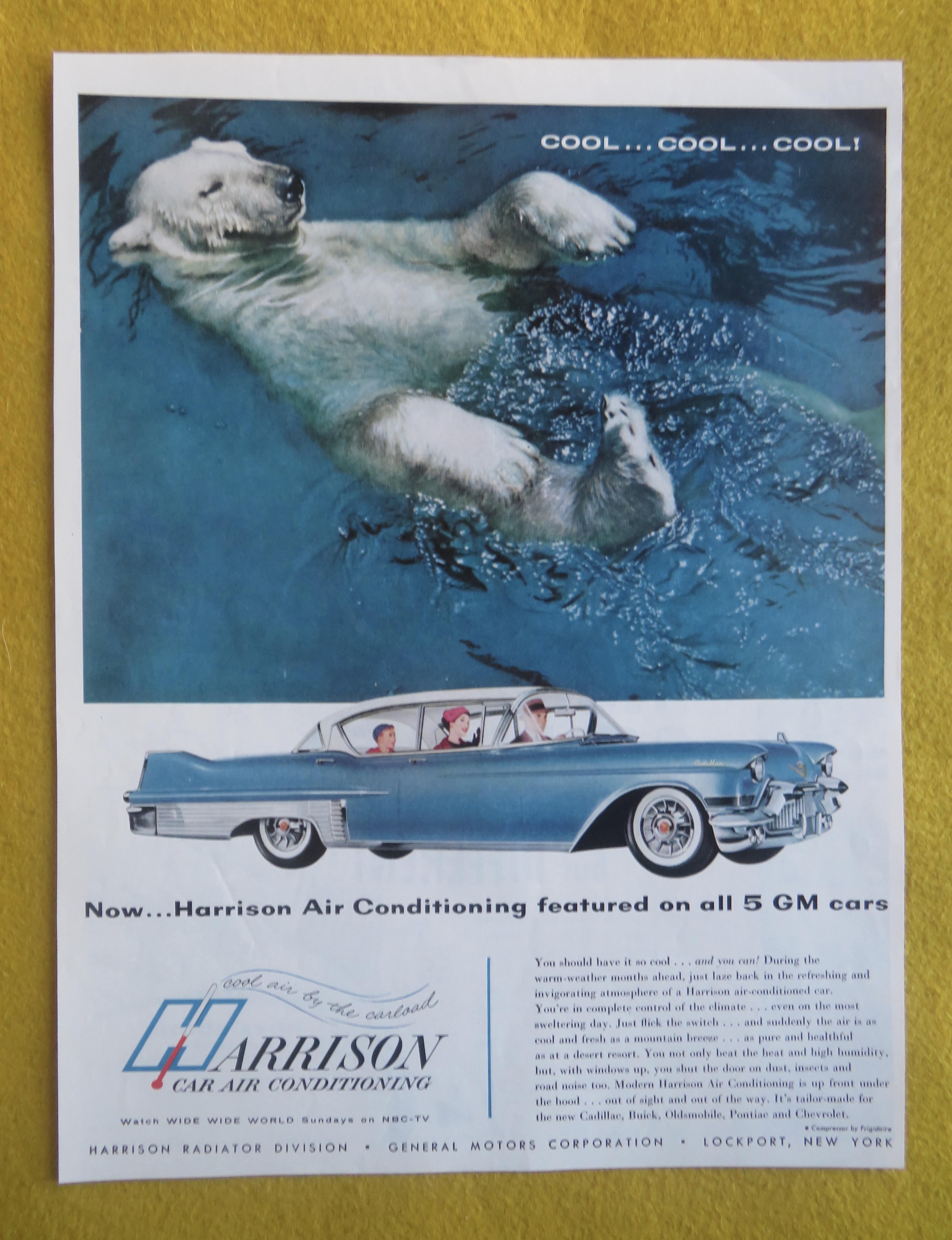 1957 Harrison Car Air Conditioning with Polar Bear