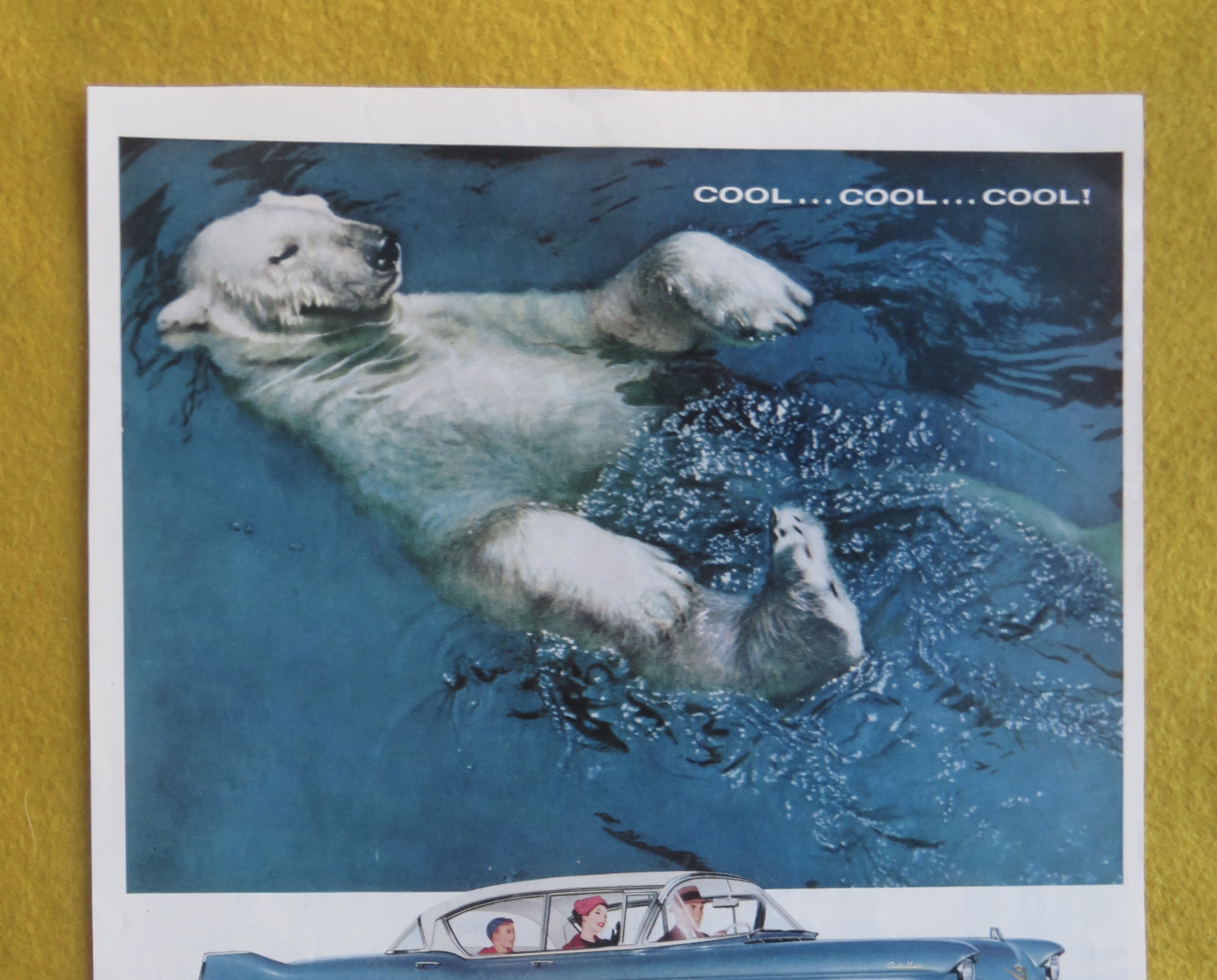 1957 Harrison Car Air Conditioning with Polar Bear