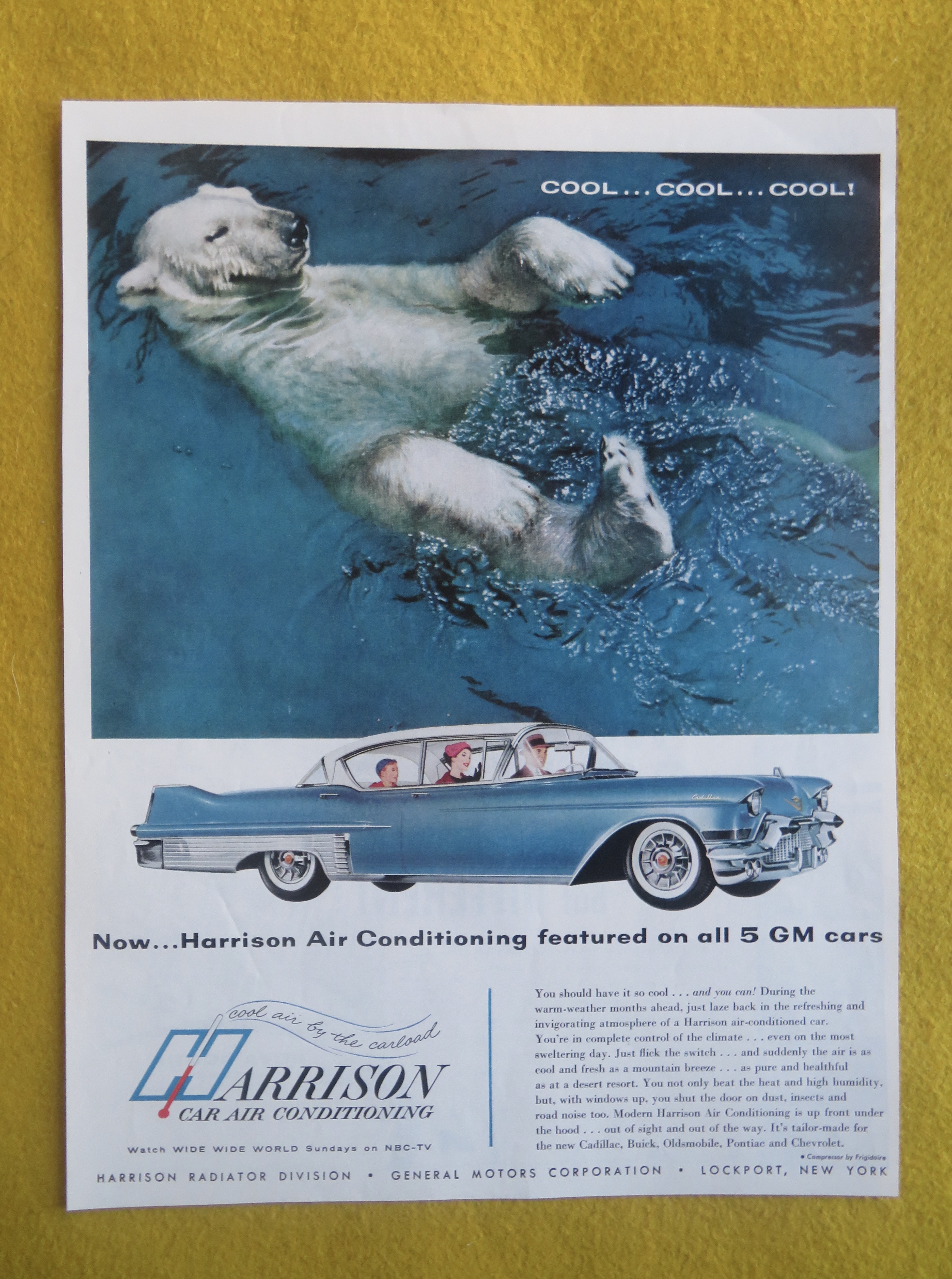 1957 Harrison Car Air Conditioning with Polar Bear