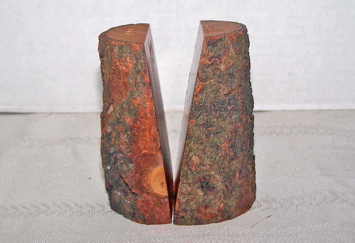 Tree Bark Wood Salt & Pepper Shakers, Texas Souvenirs,