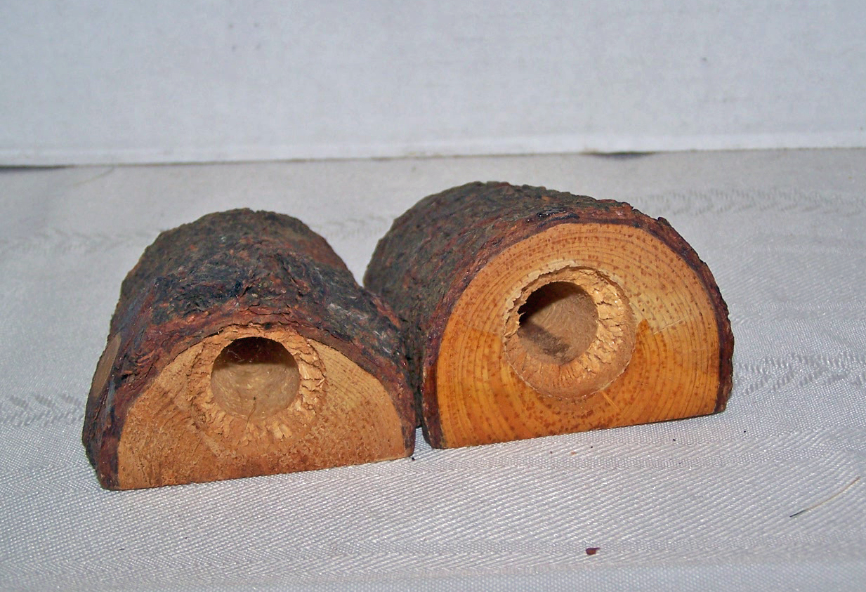 Tree Bark Wood Salt & Pepper Shakers, Texas Souvenirs,